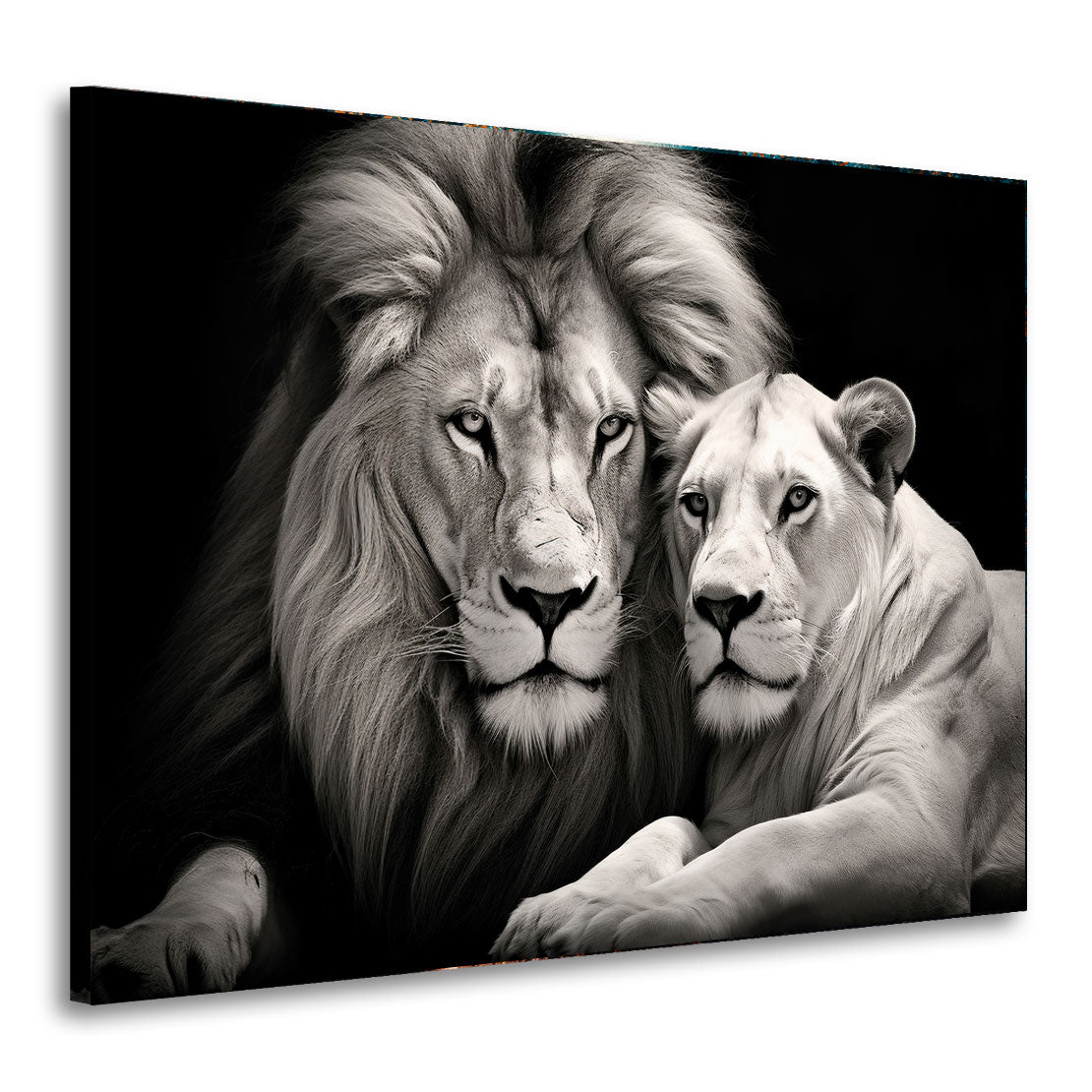 Wandbild Löwe und Löwin schwarz weis