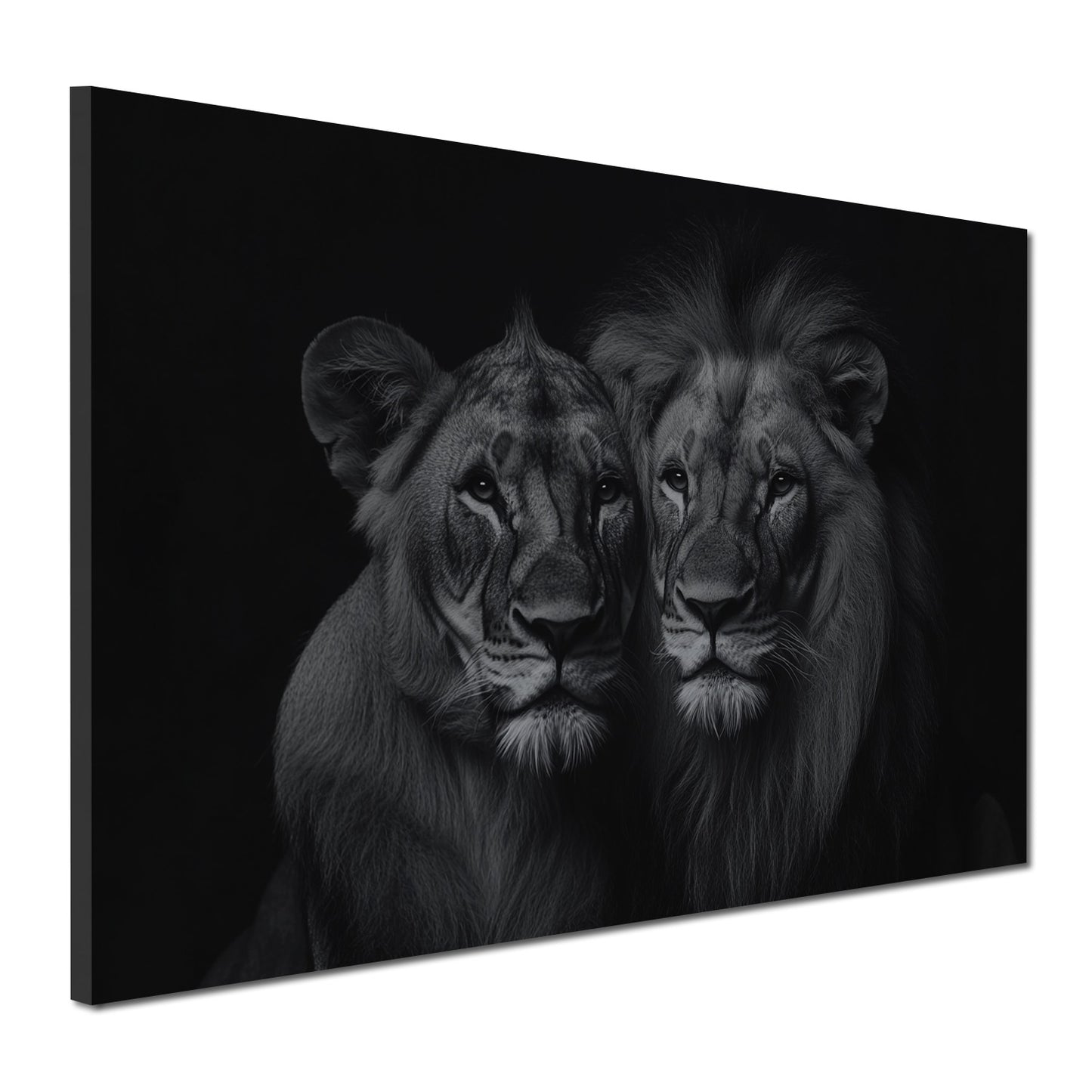 Wandbild Löwenpaar schwarz weiß Eleganz Stärke Tierportrait