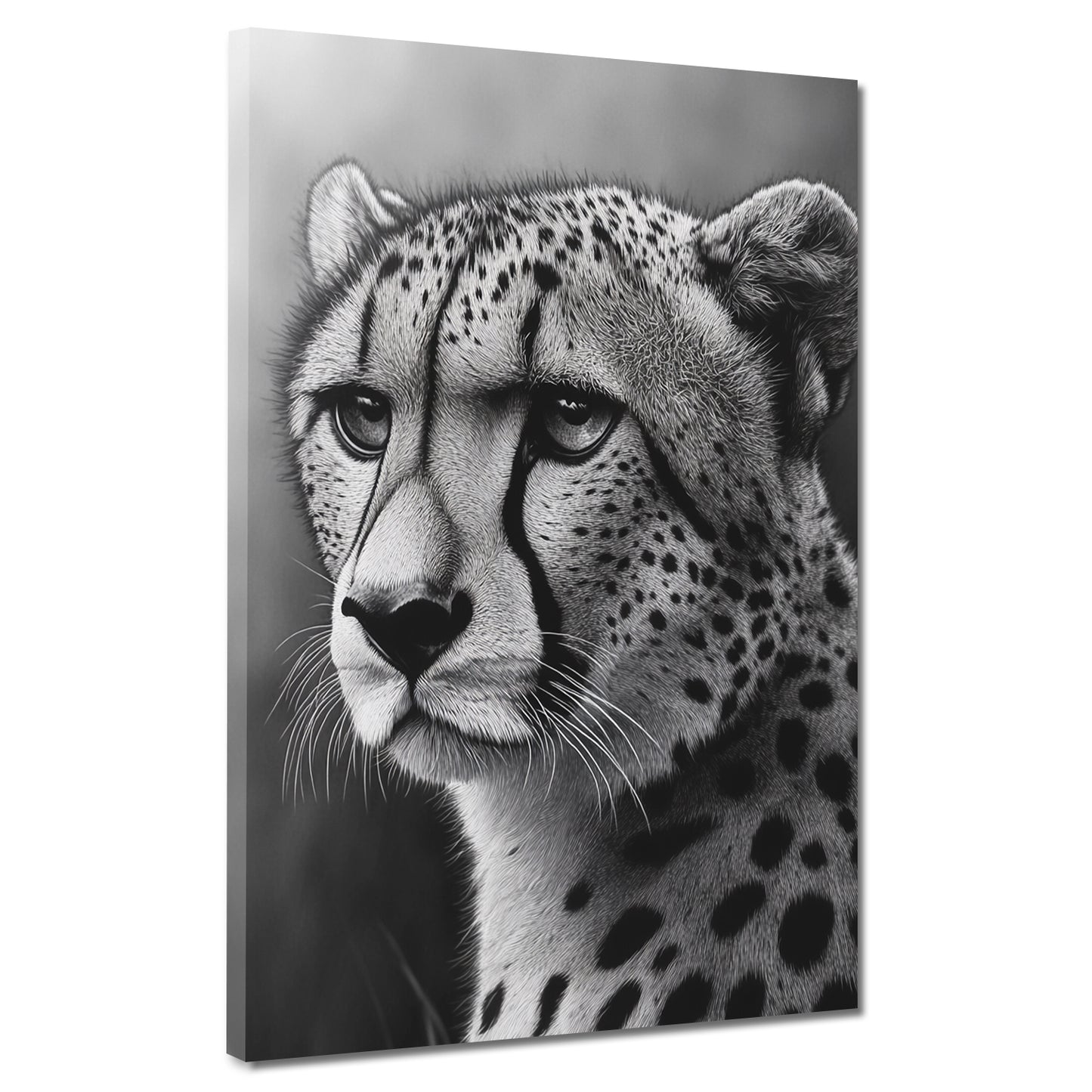 Wandbild eleganter Gepard schwarz weiß Ausdruck