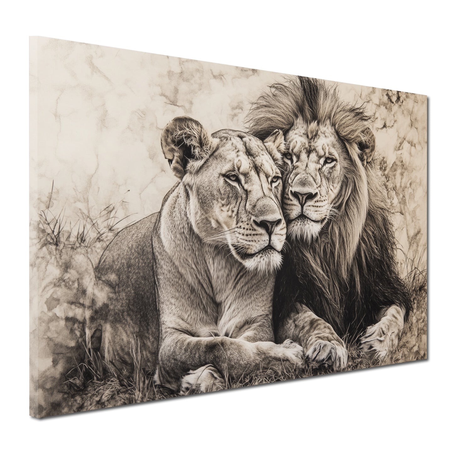 Löwenpaar Tiermotiv schwarz weiß Natur Wandbild