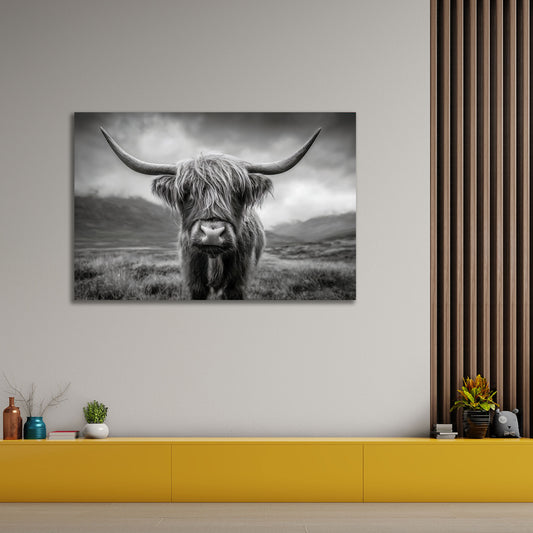 Schottisches Hochland Rind schwarz weiß Porträt Natur Wandbild