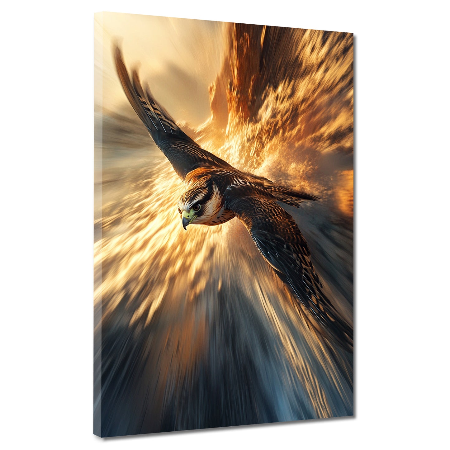 Wandbild Falke im Flug Geschwindigkeit Fokus