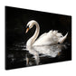 Wandbild anmutiger Schwan auf dunklem Wasser Spiegelung Eleganz modern