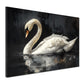 Wandbild anmutiger Schwan auf stillem Wasser Eleganz Harmonie modern