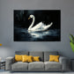 Wandbild weißer Schwan auf dunklem Wasser Eleganz Natur Kunst modern