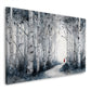 Birkenwald Landschaft Waldweg mit roter Figur Natur Wandbild
