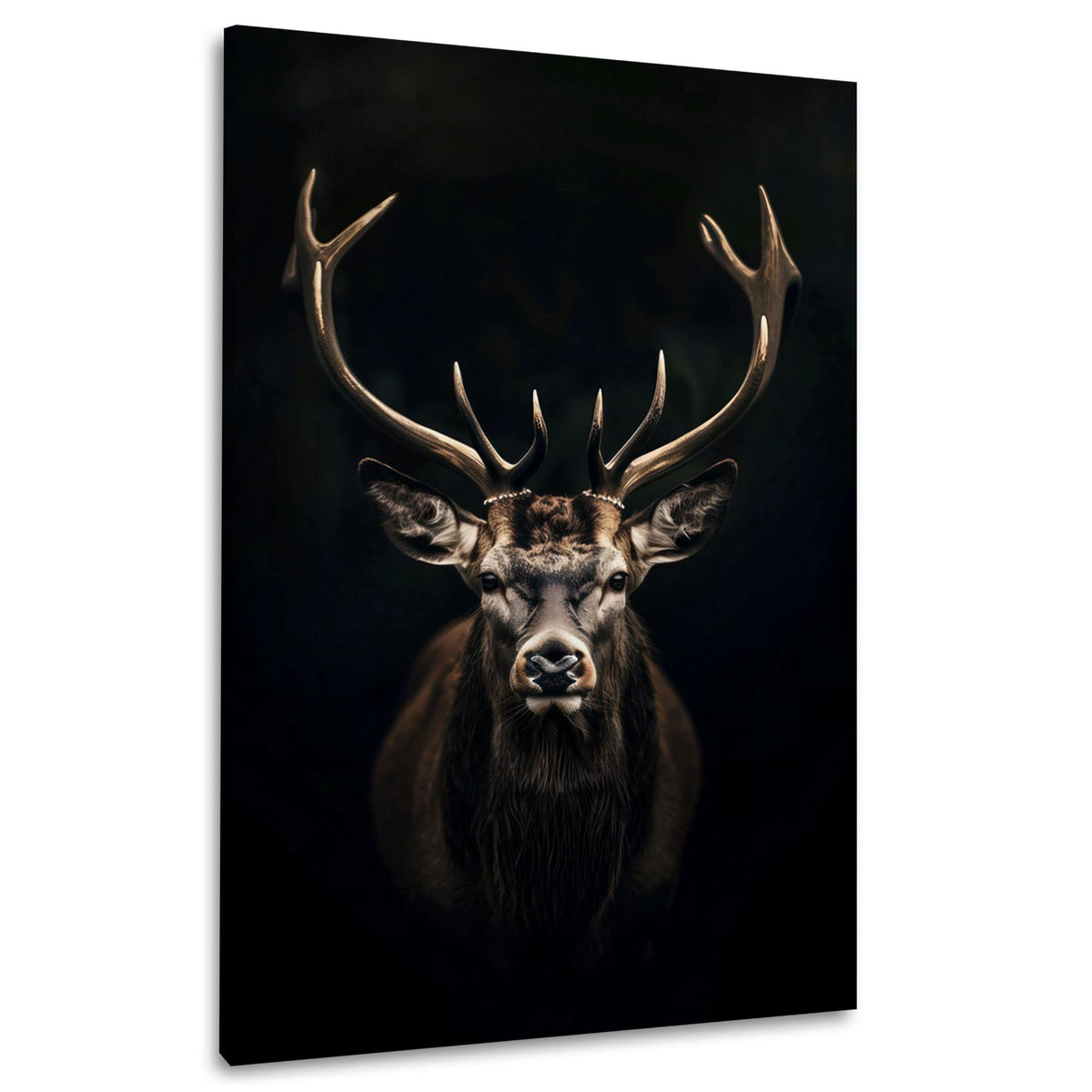 Hirsch mit Geweih vor schwarzem Hintergrund Wandbild im Hochformat