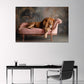 Löwe auf Rosa Samt Sofa Schlafend Eleganz Wandbild