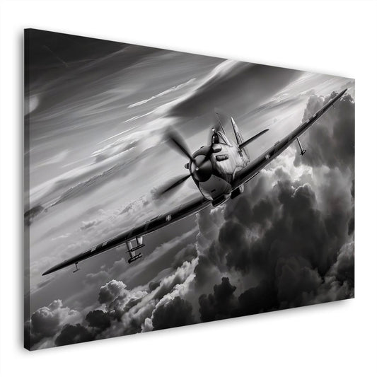 Vintage Flugzeug Schwarz-Weiß in Aquarell Wandbild