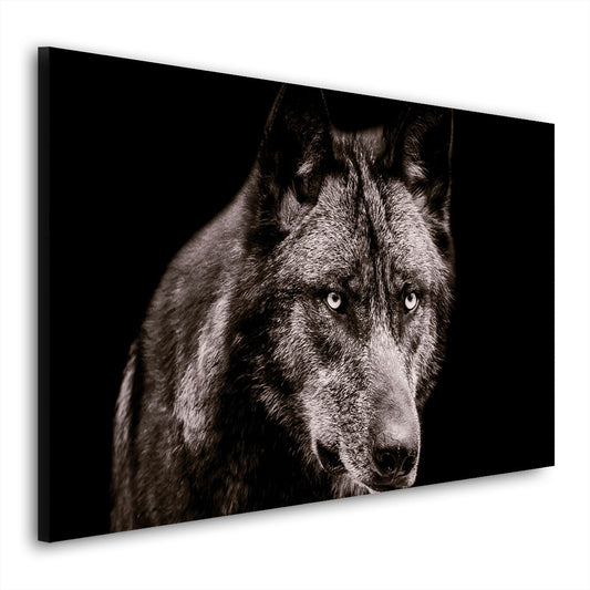 Wandbild Wolf schwarz weiß Black Style, Wolfsrudel Anführer (Kopie)