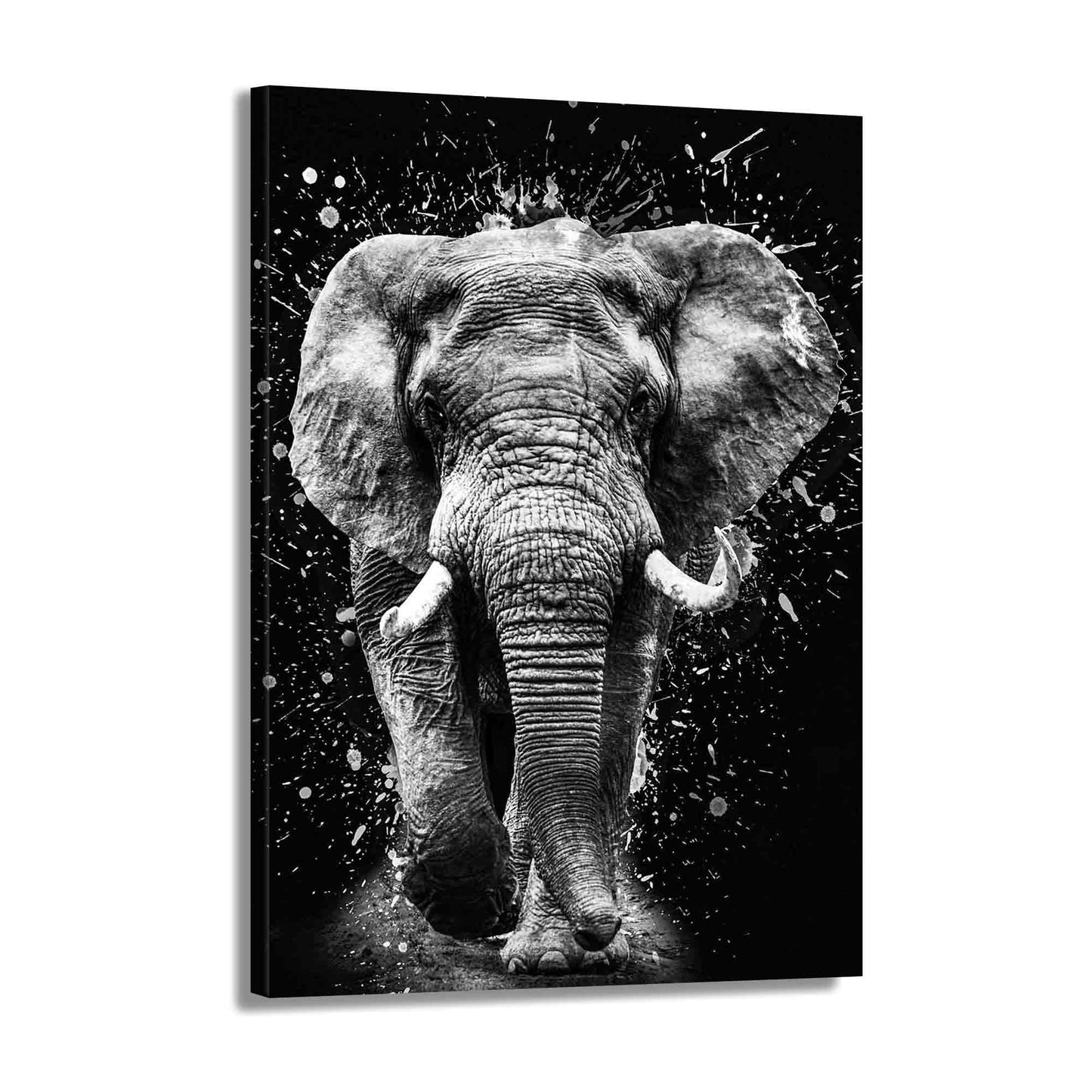 Wandbild Elefant schwarz-weiß Abstract Black & White, Tiere aus Afrika